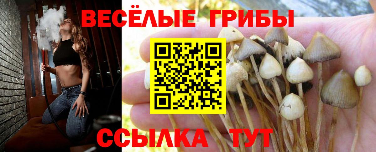 Кирово-Чепецк  Галлюциногенные грибы мухоморы  Вход с VPN 